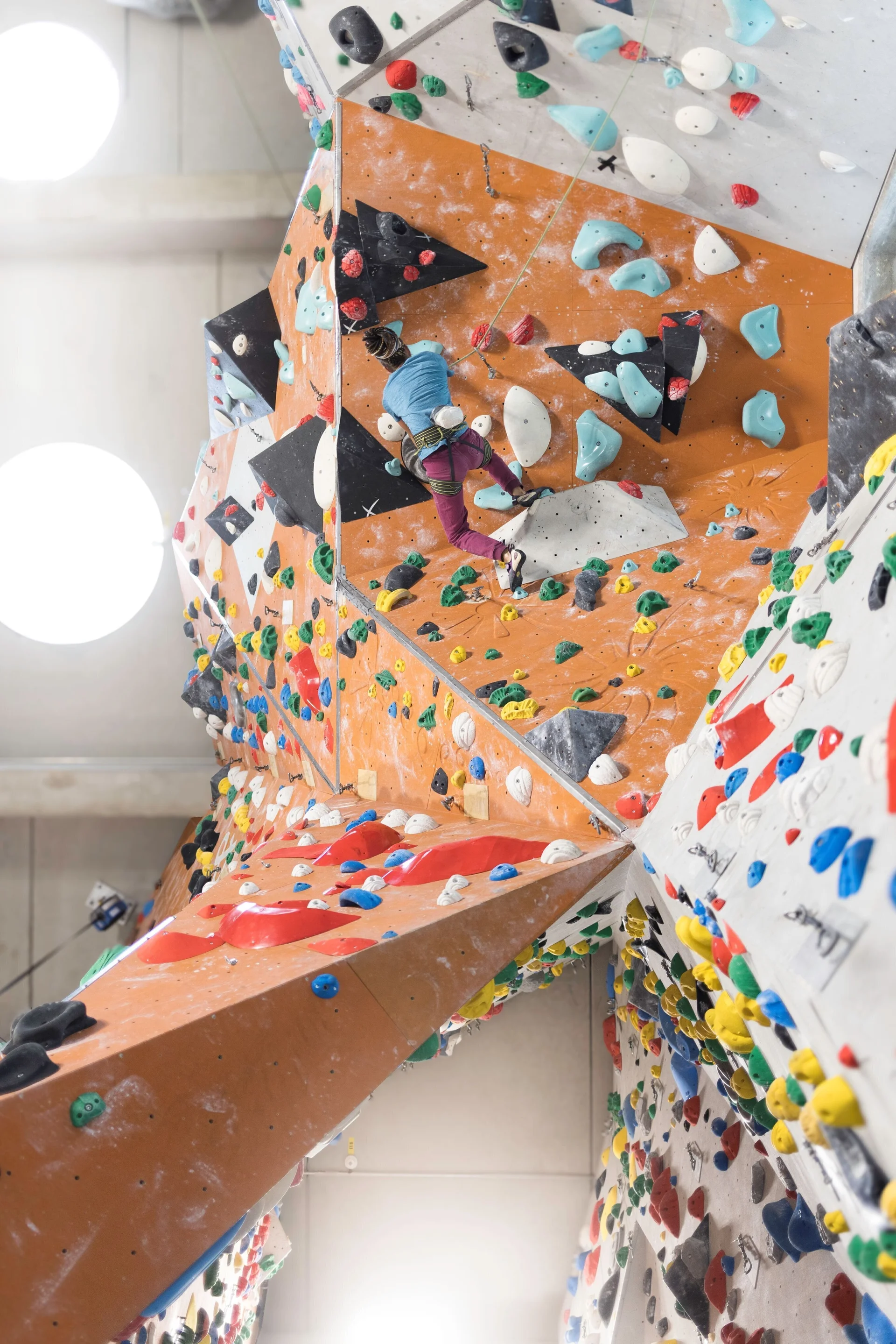 Sportler beim Klettern in einer DAV-Kletterhalle | © DAV / Jens Klatt