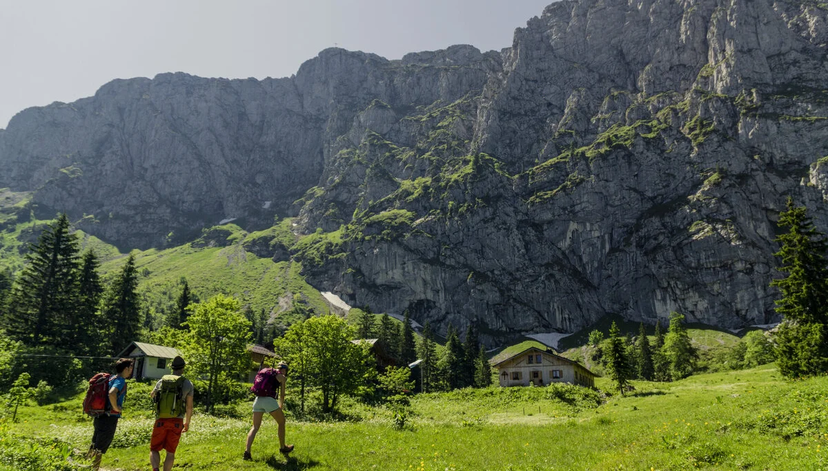 Drei Wanderer auf den grünen Berghängen der Chiemgauer Alpen | © DAV/Hans Herbig