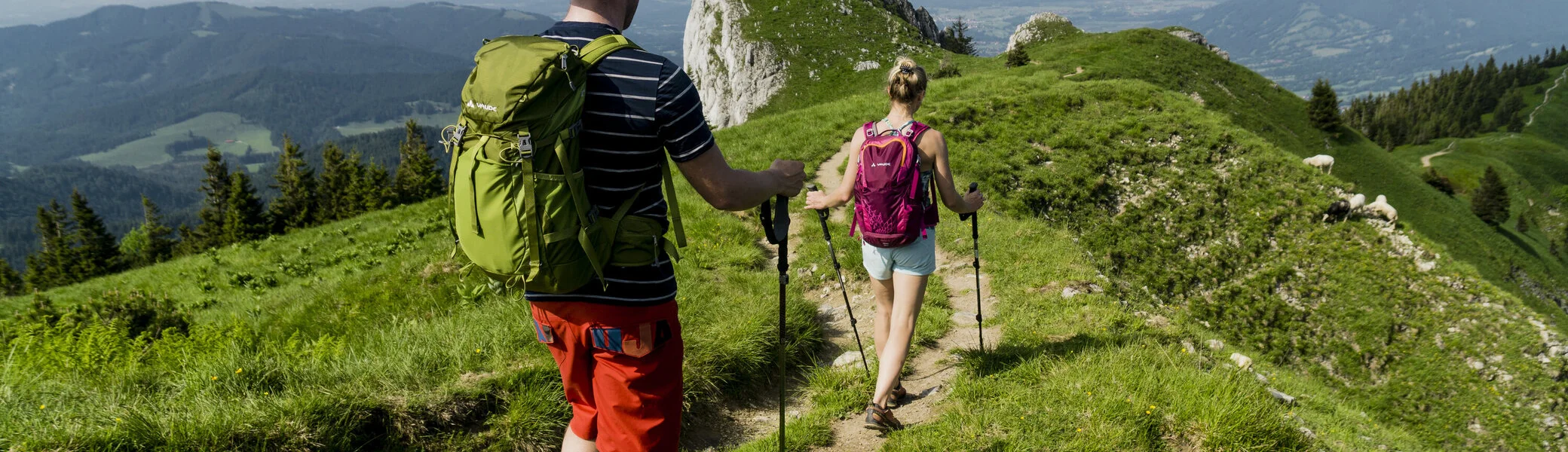 Zwei Wanderer auf den grünen Berghängen der Chiemgauer Alpen | © DAV/Hans Herbig